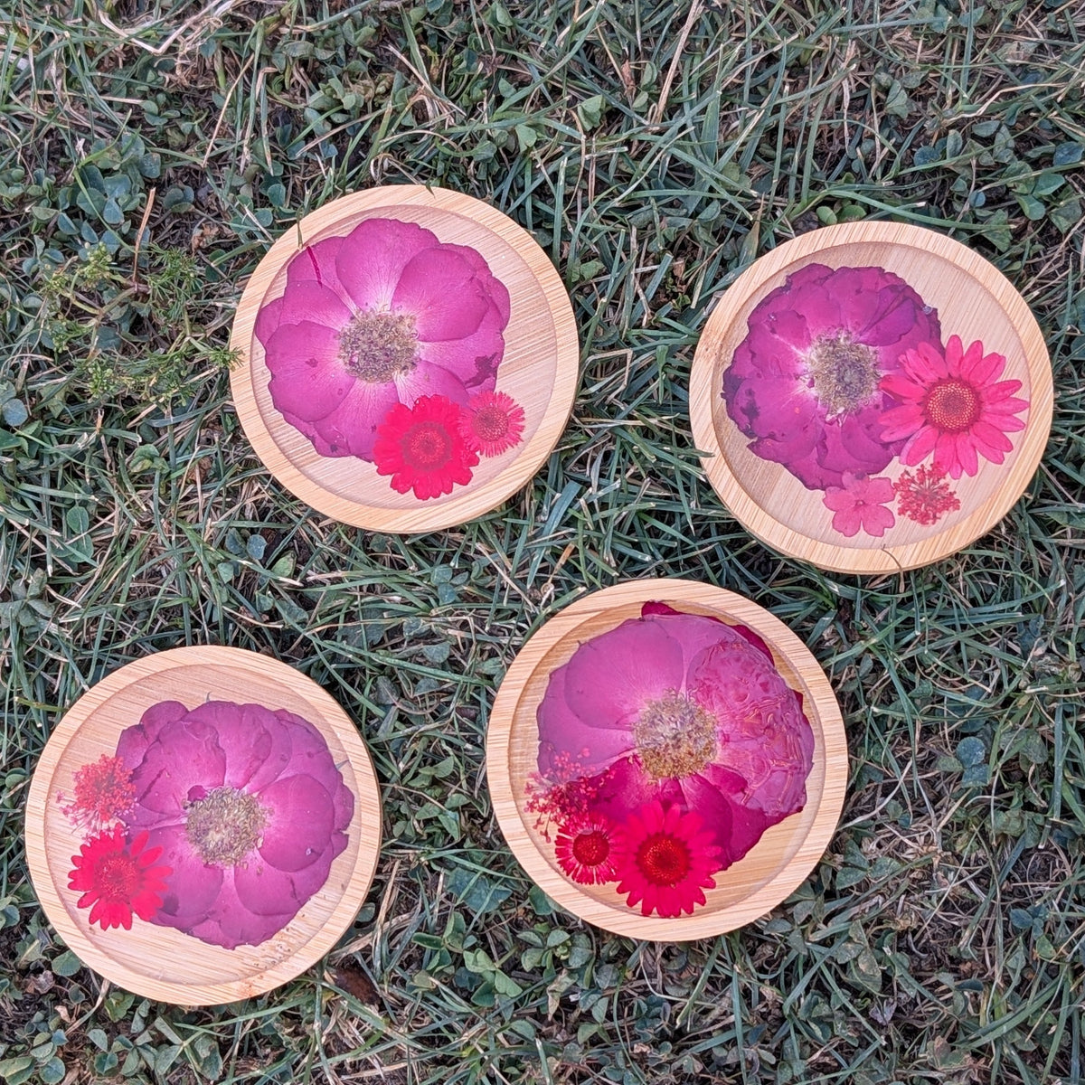 Roses coaters set