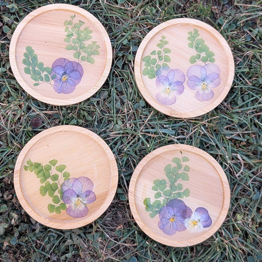 Pansies Coasters Set