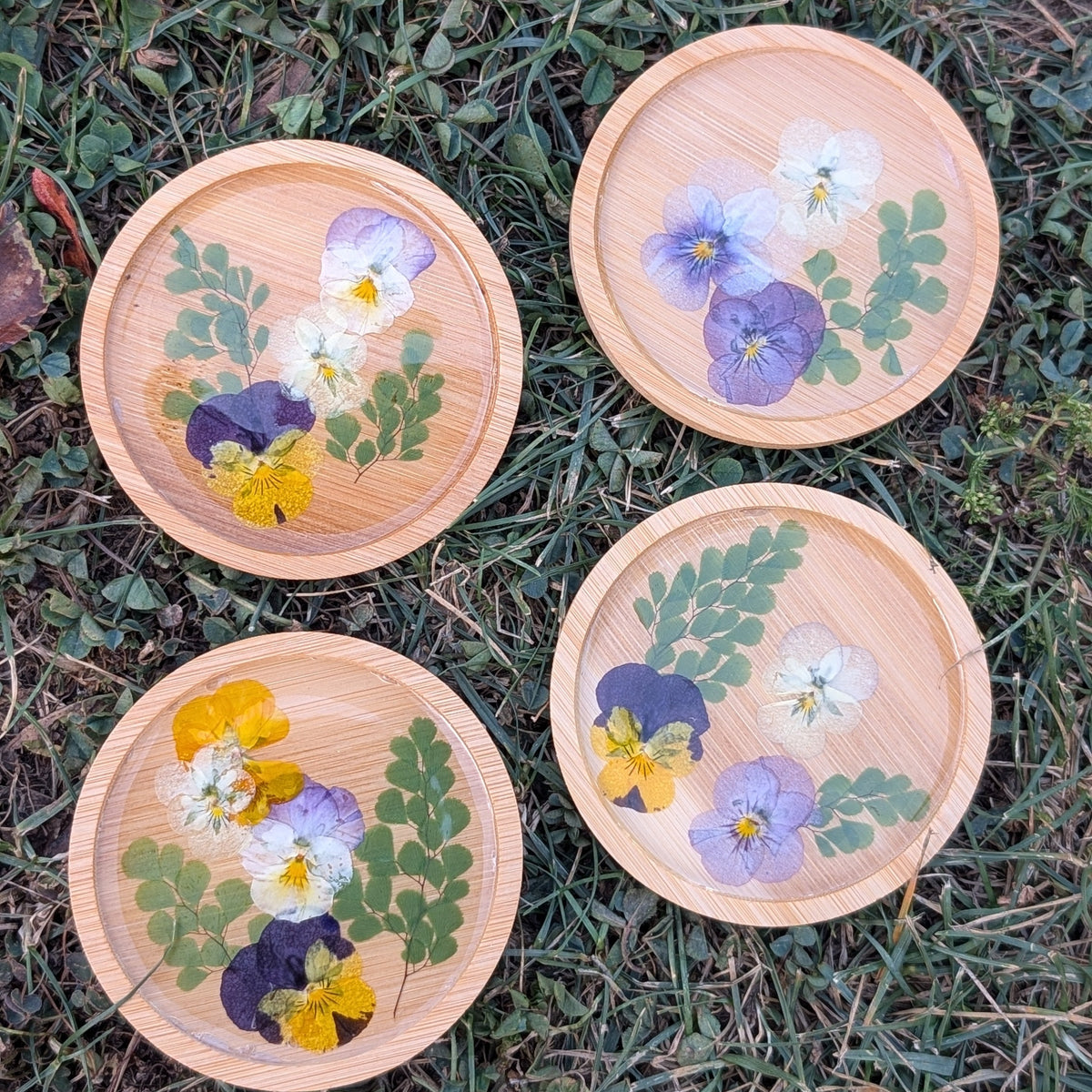 Pansies Coasters Set