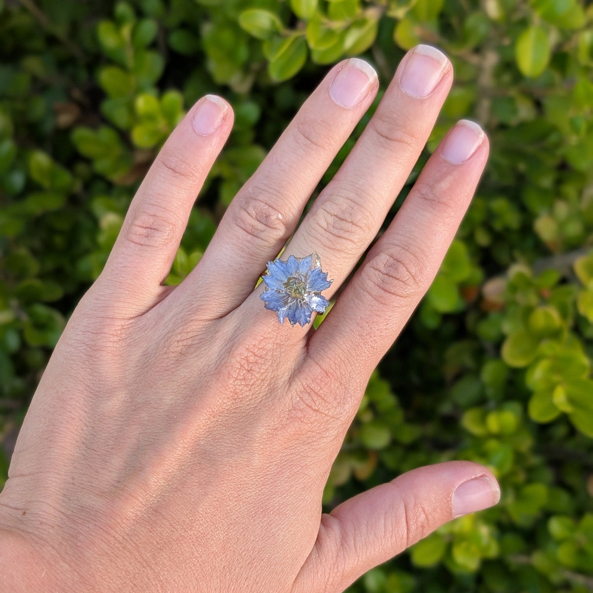 Nigella Small Ring