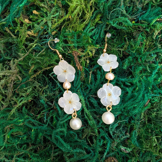 Pearl Vine Drops